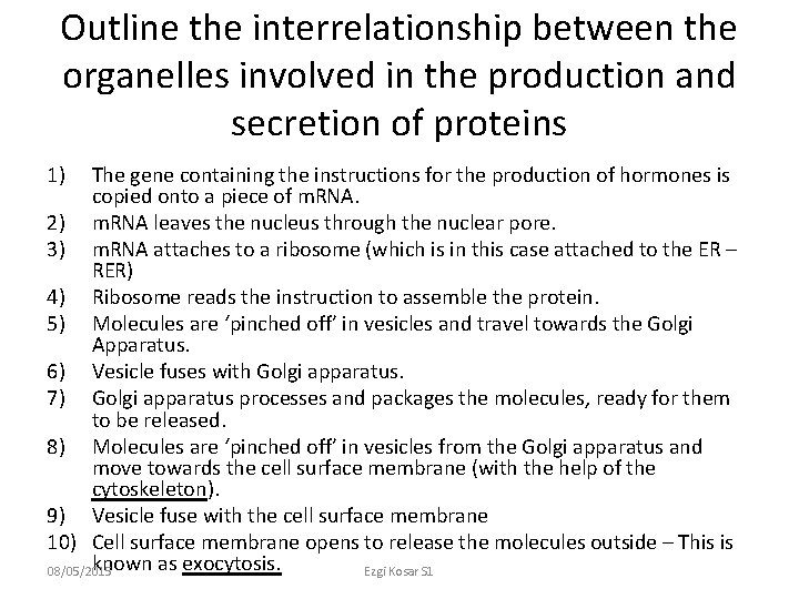 Outline the interrelationship between the organelles involved in the production and secretion of proteins