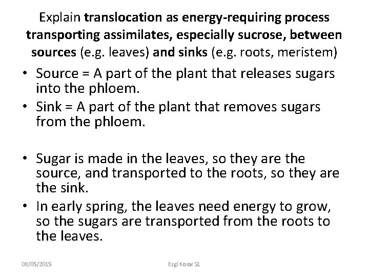 Explain translocation as energy-requiring process transporting assimilates, especially sucrose, between sources (e. g. leaves)