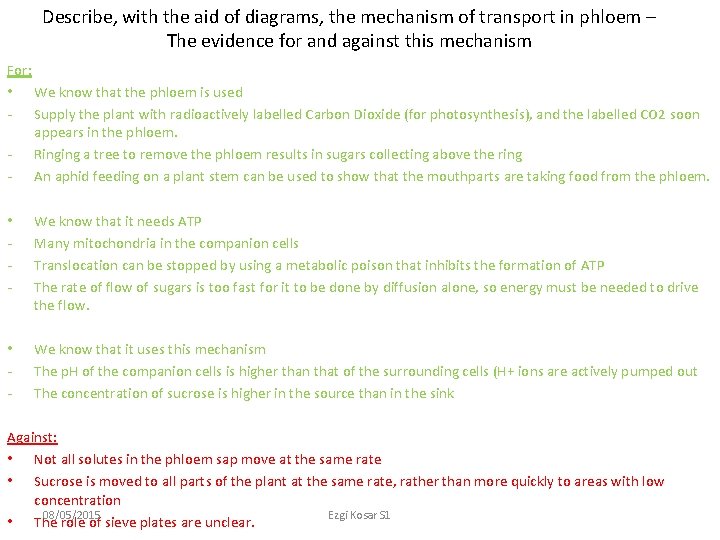 Describe, with the aid of diagrams, the mechanism of transport in phloem – The