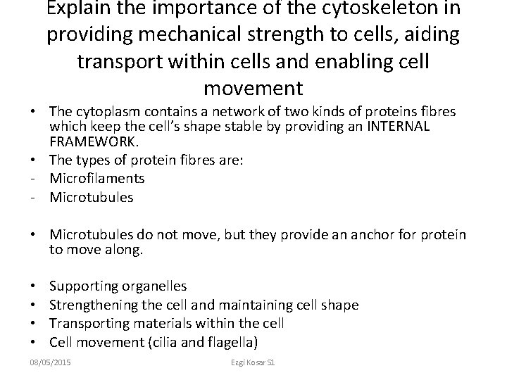 Explain the importance of the cytoskeleton in providing mechanical strength to cells, aiding transport