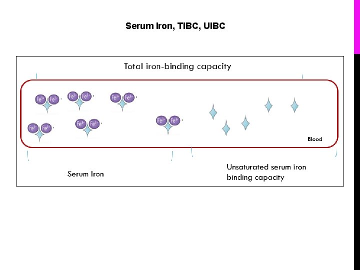 Serum Iron, TIBC, UIBC 