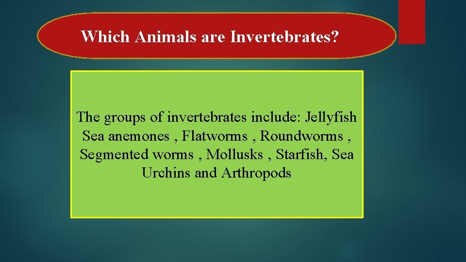 Which Animals are Invertebrates? The groups of invertebrates include: Jellyfish Sea anemones , Flatworms