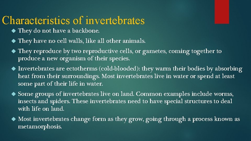 Characteristics of invertebrates They do not have a backbone. They have no cell walls,