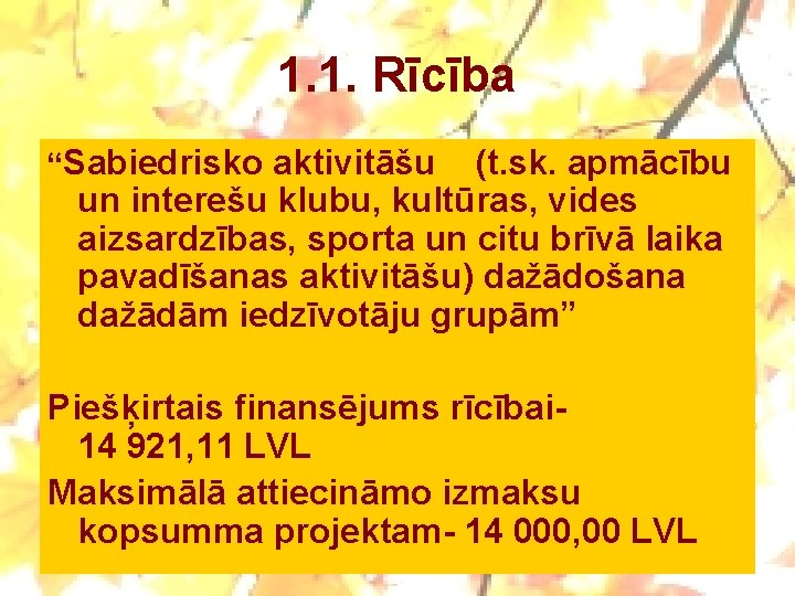 1. 1. Rīcība “Sabiedrisko aktivitāšu (t. sk. apmācību un interešu klubu, kultūras, vides aizsardzības,