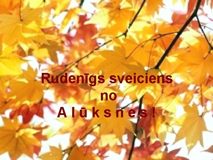 Rudenīgs sveiciens no Alūksnes! 