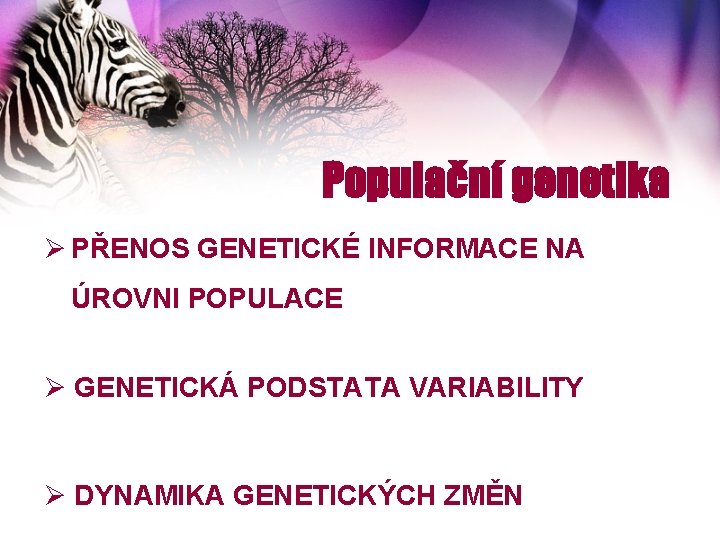 Populační genetika Ø PŘENOS GENETICKÉ INFORMACE NA ÚROVNI POPULACE Ø GENETICKÁ PODSTATA VARIABILITY Ø