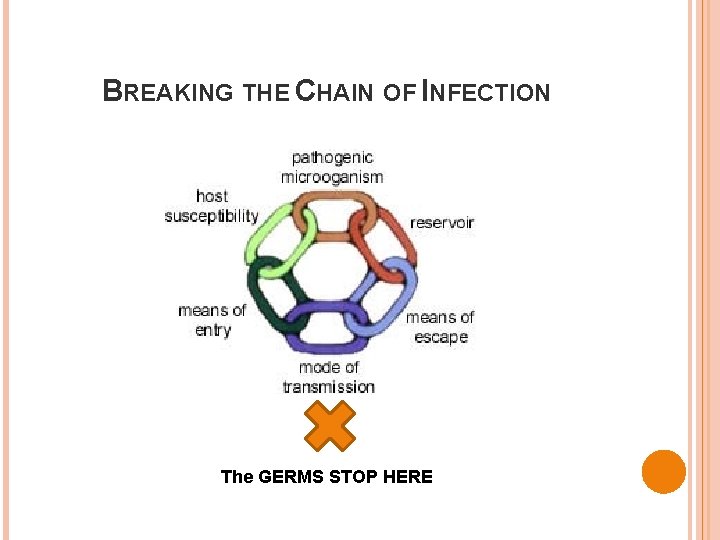BREAKING THE CHAIN OF INFECTION The GERMS STOP HERE 