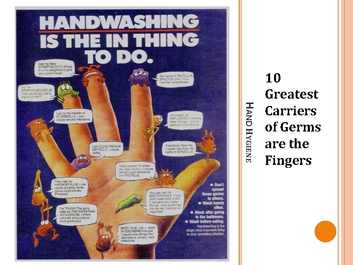 HAND HYGIENE 10 Greatest Carriers of Germs are the Fingers 