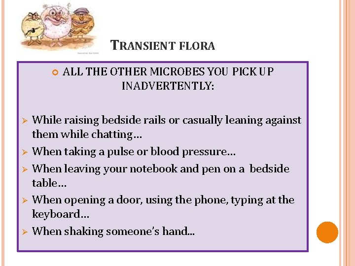 TRANSIENT FLORA Ø Ø Ø ALL THE OTHER MICROBES YOU PICK UP INADVERTENTLY: While