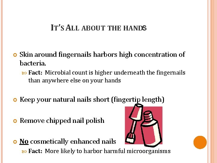 IT’S ALL ABOUT THE HANDS Skin around fingernails harbors high concentration of bacteria. Fact: