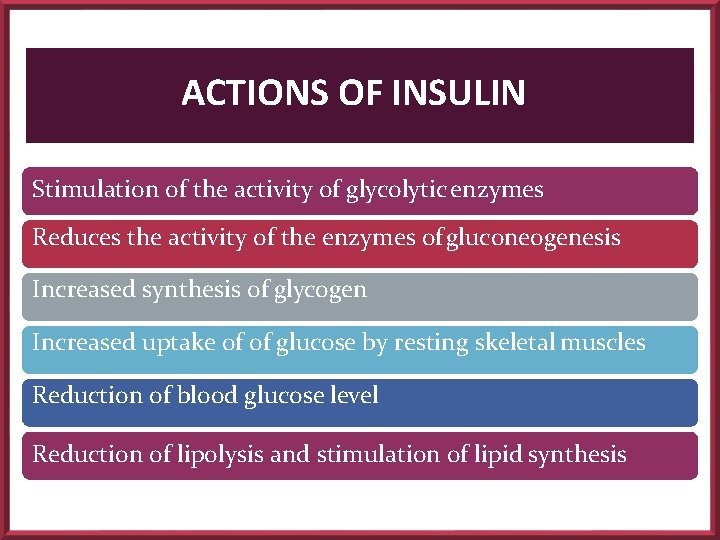 ACTIONS OF INSULIN Stimulation of the activity of glycolytic enzymes Reduces the activity of