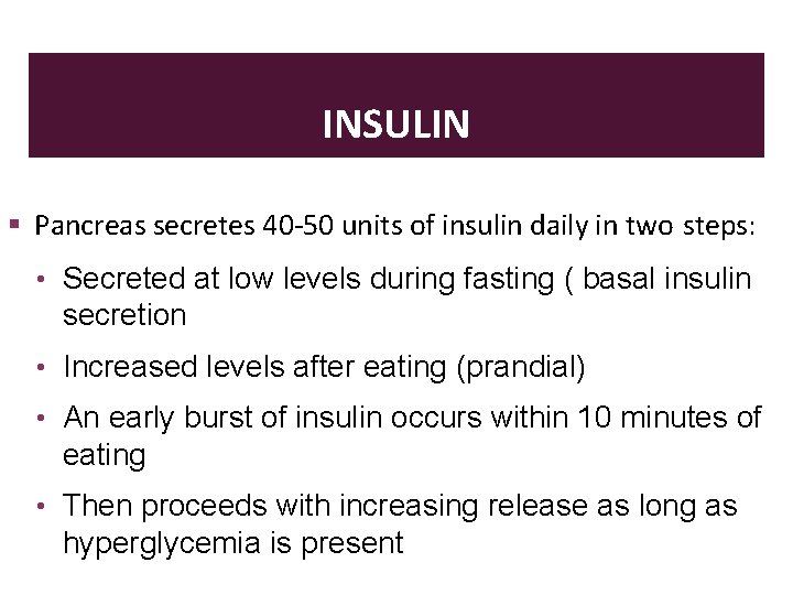 INSULIN Pancreas secretes 40 -50 units of insulin daily in two steps: • Secreted