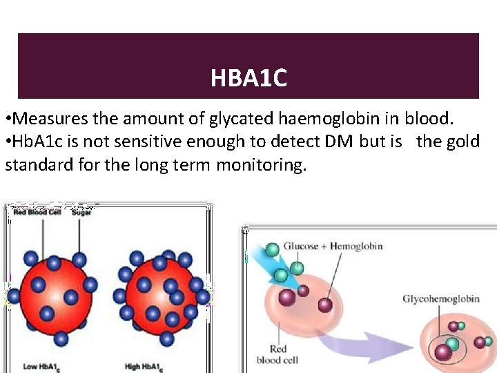 HBA 1 C • Measures the amount of glycated haemoglobin in blood. • Hb.