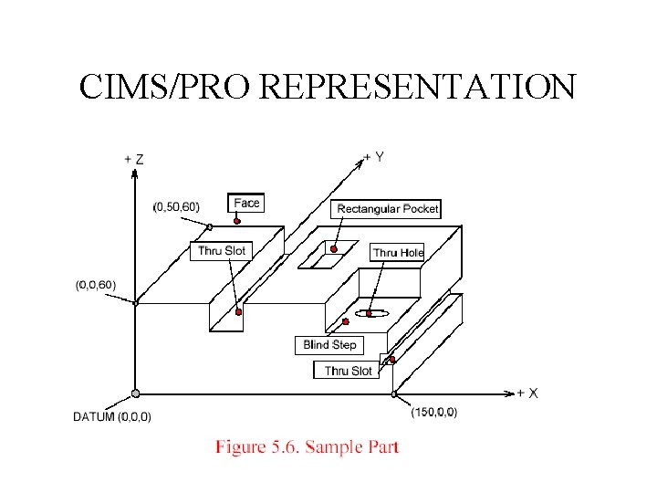 CIMS/PRO REPRESENTATION 