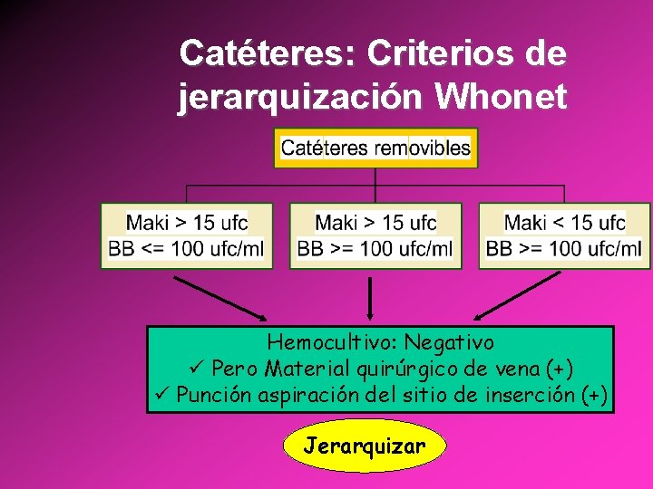 Catéteres: Criterios de jerarquización Whonet Hemocultivo: Negativo ü Pero Material quirúrgico de vena (+)