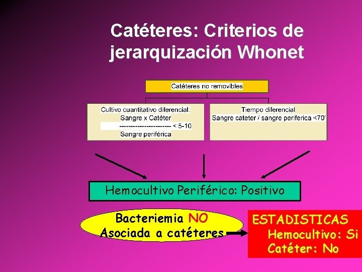 Catéteres: Criterios de jerarquización Whonet Hemocultivo Periférico: Positivo Bacteriemia NO Asociada a catéteres ESTADISTICAS