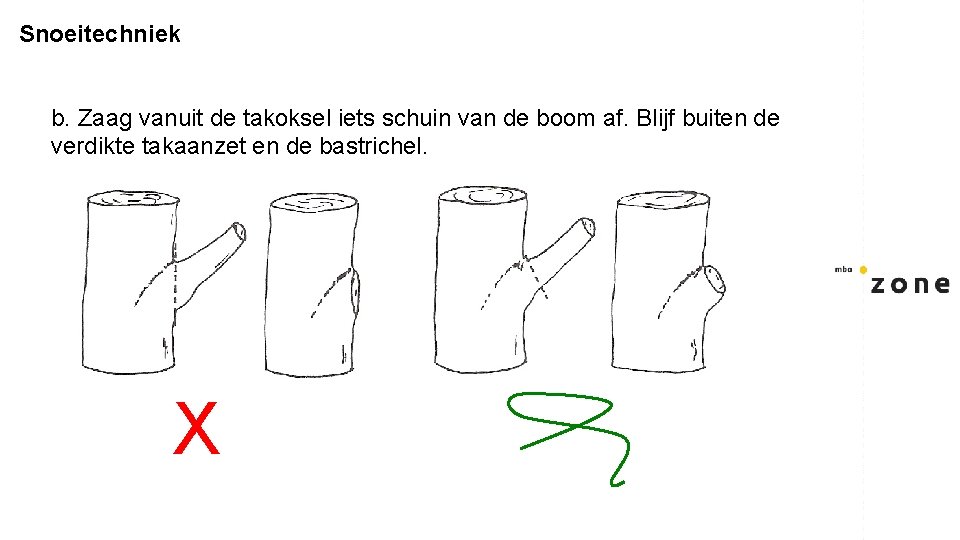 Snoeitechniek b. Zaag vanuit de takoksel iets schuin van de boom af. Blijf buiten