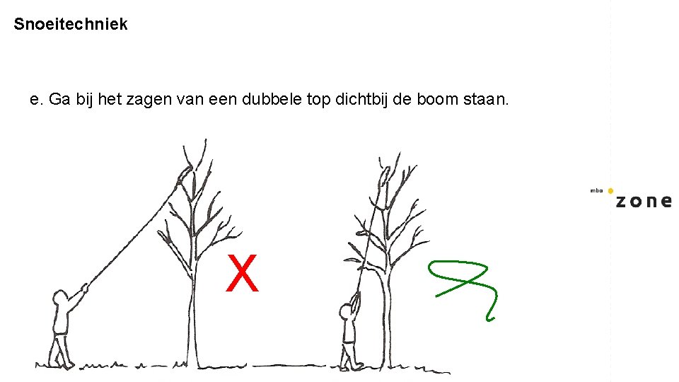 Snoeitechniek e. Ga bij het zagen van een dubbele top dichtbij de boom staan.