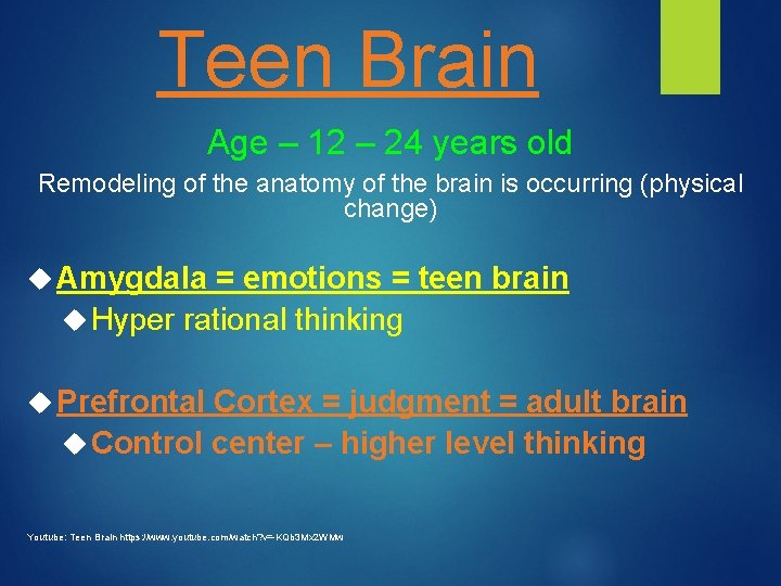 Teen Brain Age – 12 – 24 years old Remodeling of the anatomy of