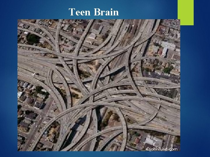Teen Brain 