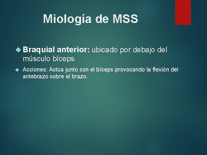 Miología de MSS Braquial anterior: ubicado por debajo del músculo bíceps Acciones: Actúa junto