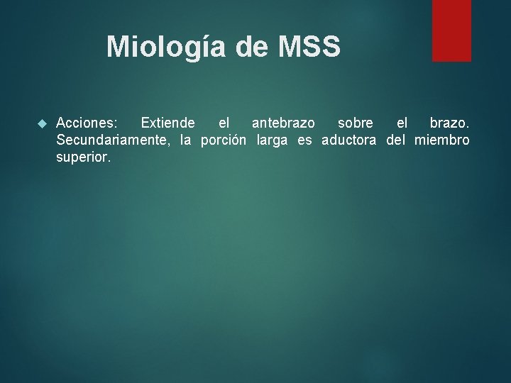 Miología de MSS Acciones: Extiende el antebrazo sobre el brazo. Secundariamente, la porción larga