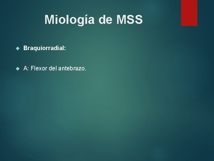 Miología de MSS Braquiorradial: A: Flexor del antebrazo. 