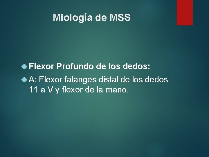 Miología de MSS Flexor A: Profundo de los dedos: Flexor falanges distal de los