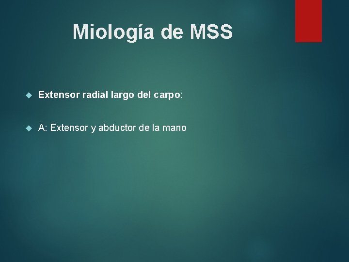 Miología de MSS Extensor radial largo del carpo: A: Extensor y abductor de la