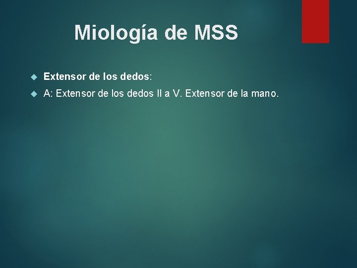 Miología de MSS Extensor de los dedos: A: Extensor de los dedos II a