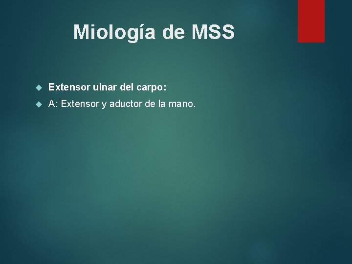 Miología de MSS Extensor ulnar del carpo: A: Extensor y aductor de la mano.