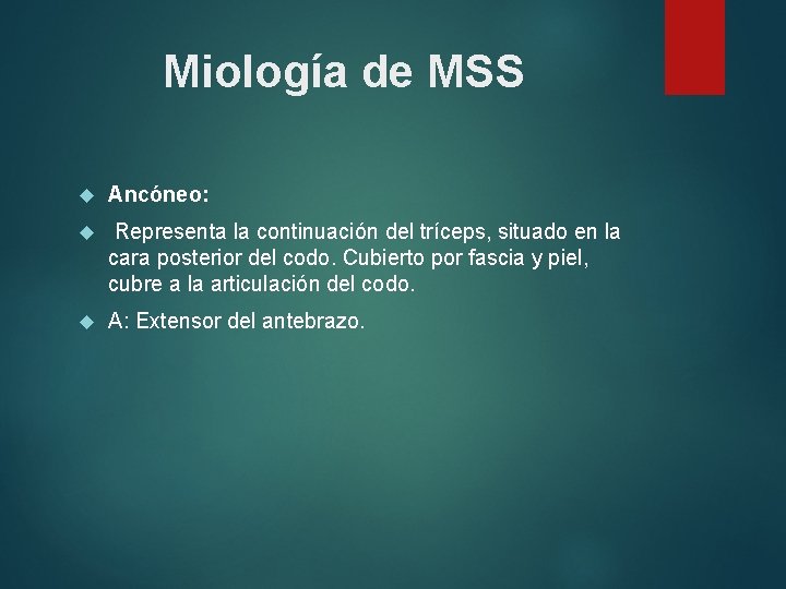 Miología de MSS Ancóneo: Representa la continuación del tríceps, situado en la cara posterior