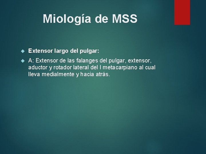 Miología de MSS Extensor largo del pulgar: A: Extensor de las falanges del pulgar,