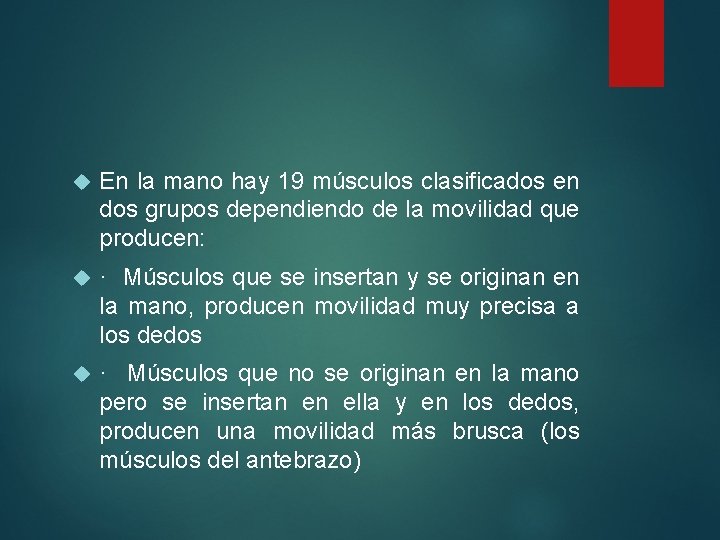  En la mano hay 19 músculos clasificados en dos grupos dependiendo de la
