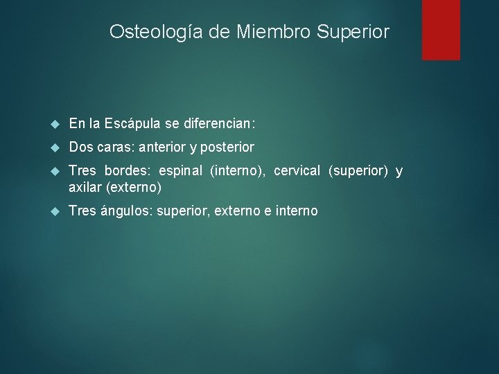 Osteología de Miembro Superior En la Escápula se diferencian: Dos caras: anterior y posterior