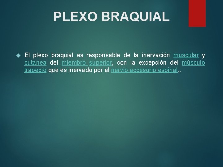 PLEXO BRAQUIAL El plexo braquial es responsable de la inervación muscular y cutánea del