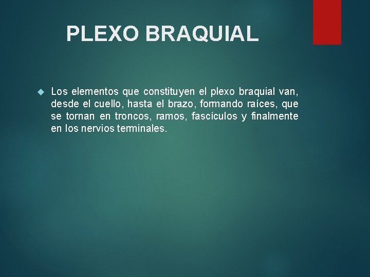 PLEXO BRAQUIAL Los elementos que constituyen el plexo braquial van, desde el cuello, hasta