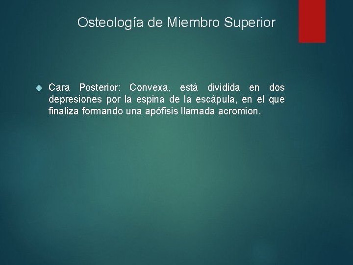 Osteología de Miembro Superior Cara Posterior: Convexa, está dividida en dos depresiones por la