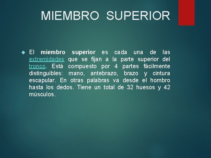 MIEMBRO SUPERIOR El miembro superior es cada una de las extremidades que se fijan