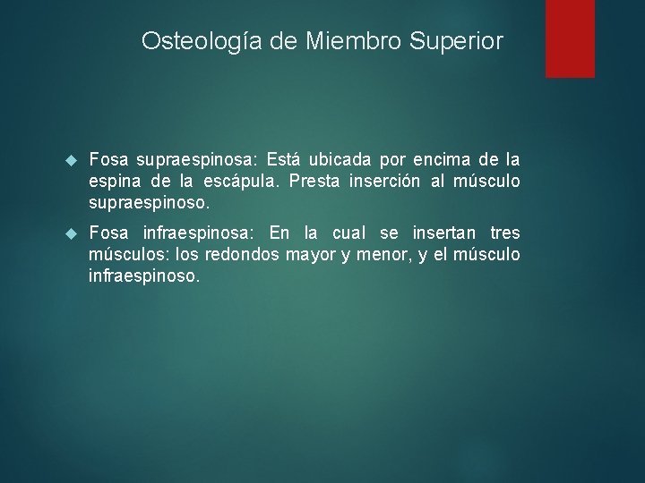 Osteología de Miembro Superior Fosa supraespinosa: Está ubicada por encima de la espina de