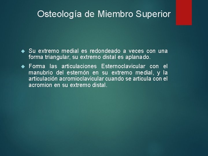 Osteología de Miembro Superior Su extremo medial es redondeado a veces con una forma