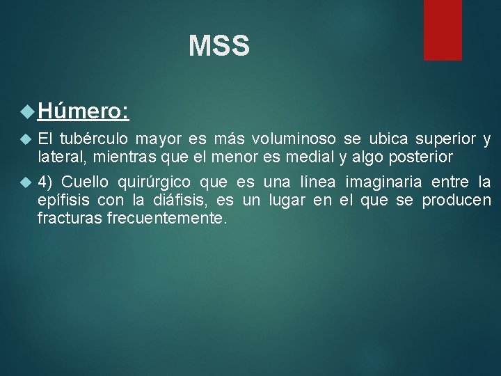 MSS Húmero: El tubérculo mayor es más voluminoso se ubica superior y lateral, mientras