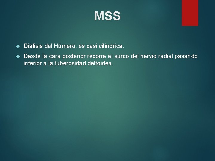 MSS Diáfisis del Húmero: es casi cilíndrica. Desde la cara posterior recorre el surco