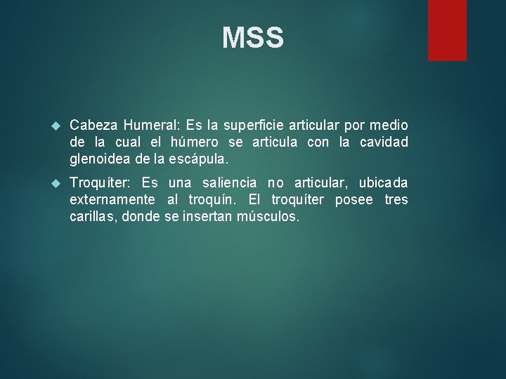 MSS Cabeza Humeral: Es la superficie articular por medio de la cual el húmero