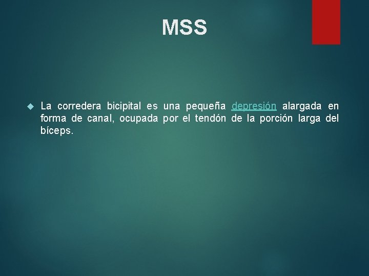 MSS La corredera bicipital es una pequeña depresión alargada en forma de canal, ocupada