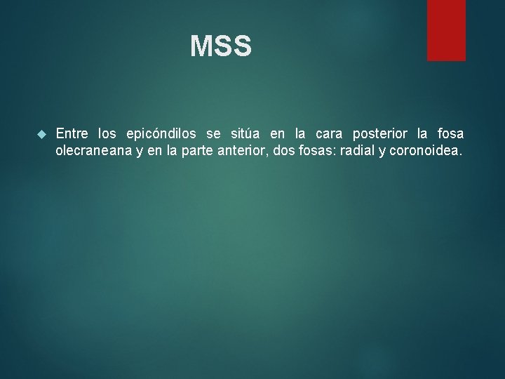 MSS Entre los epicóndilos se sitúa en la cara posterior la fosa olecraneana y