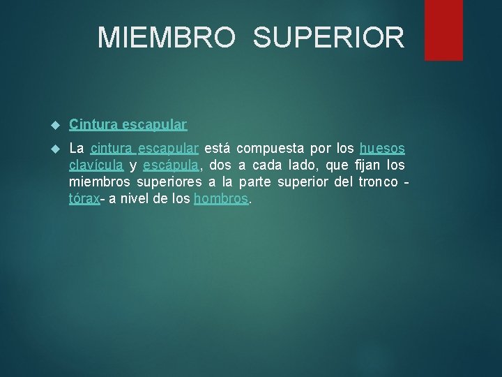 MIEMBRO SUPERIOR Cintura escapular La cintura escapular está compuesta por los huesos clavícula y