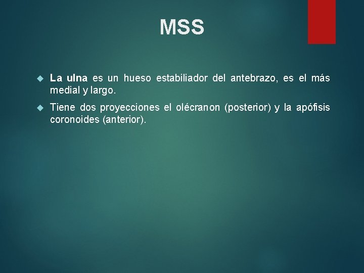 MSS La ulna es un hueso estabiliador del antebrazo, es el más medial y