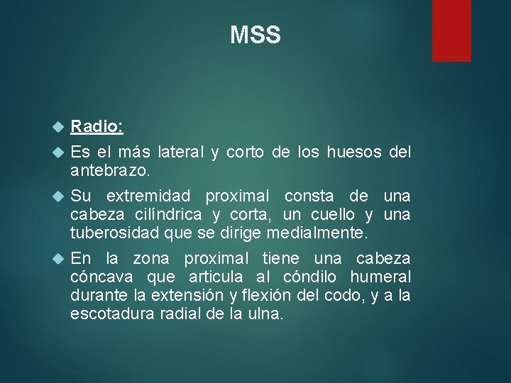 MSS Radio: Es el más lateral y corto de los huesos del antebrazo. Su