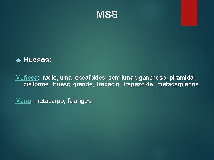 MSS Huesos: Muñeca: radio, ulna, escafoides, semilunar, ganchoso, piramidal, pisiforme, hueso grande, trapecio, trapezoide,
